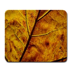 Leaf Leaf Veins Fall Large Mousepads by artworkshop