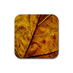 Leaf Leaf Veins Fall Rubber Coaster (square) by artworkshop