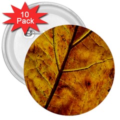 Leaf Leaf Veins Fall 3  Buttons (10 Pack)  by artworkshop