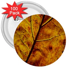 Leaf Leaf Veins Fall 3  Buttons (100 Pack)  by artworkshop