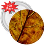 Leaf Leaf Veins Fall 3  Buttons (100 pack)  Front