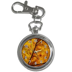 Leaf Leaf Veins Fall Key Chain Watches by artworkshop