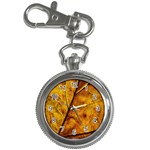 Leaf Leaf Veins Fall Key Chain Watches Front