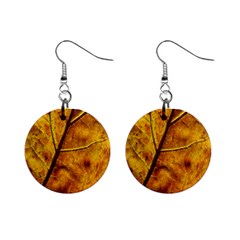 Leaf Leaf Veins Fall Mini Button Earrings by artworkshop