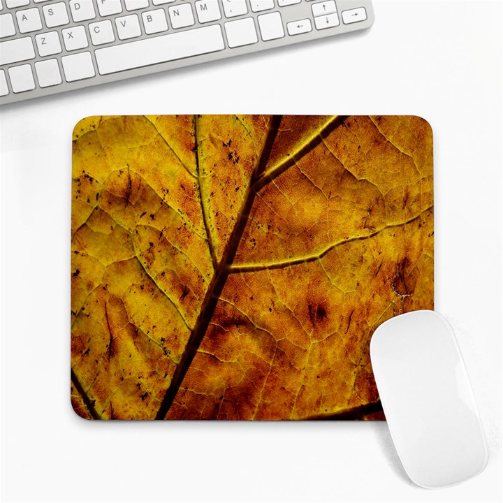 Leaf Leaf Veins Fall Large Mousepads