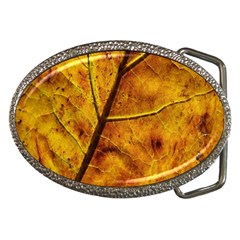 Leaf Leaf Veins Fall Belt Buckles by artworkshop