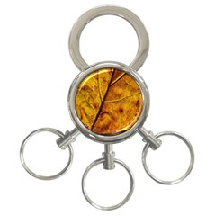 Leaf Leaf Veins Fall 3-ring Key Chain by artworkshop