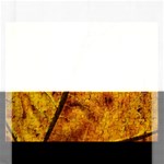 Leaf Leaf Veins Fall Rectangular Jigsaw Puzzl Front