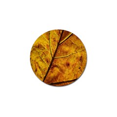 Leaf Leaf Veins Fall Golf Ball Marker (10 Pack) by artworkshop