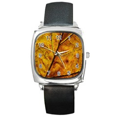 Leaf Leaf Veins Fall Square Metal Watch by artworkshop