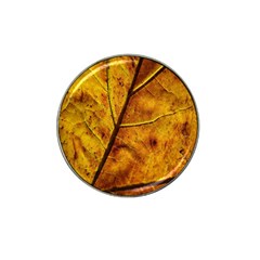 Leaf Leaf Veins Fall Hat Clip Ball Marker (4 Pack) by artworkshop