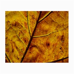 Leaf Leaf Veins Fall Small Glasses Cloth by artworkshop