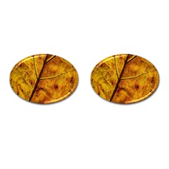 Leaf Leaf Veins Fall Cufflinks (oval) by artworkshop