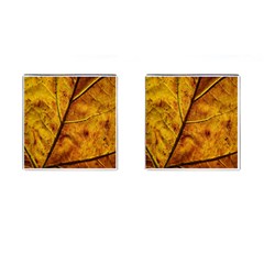 Leaf Leaf Veins Fall Cufflinks (square) by artworkshop