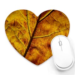 Leaf Leaf Veins Fall Heart Mousepads by artworkshop