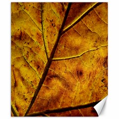 Leaf Leaf Veins Fall Canvas 20  X 24  by artworkshop