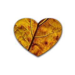 Leaf Leaf Veins Fall Rubber Heart Coaster (4 Pack) by artworkshop