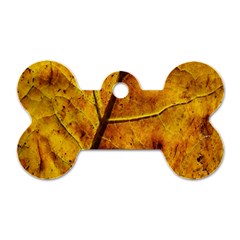 Leaf Leaf Veins Fall Dog Tag Bone (one Side) by artworkshop