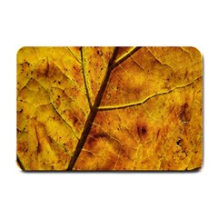 Leaf Leaf Veins Fall Small Doormat 