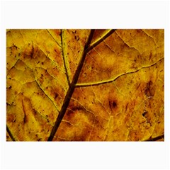 Leaf Leaf Veins Fall Large Glasses Cloth by artworkshop