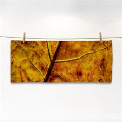 Leaf Leaf Veins Fall Hand Towel by artworkshop