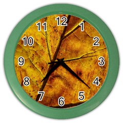 Leaf Leaf Veins Fall Color Wall Clock by artworkshop