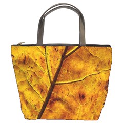 Leaf Leaf Veins Fall Bucket Bag by artworkshop