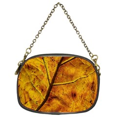 Leaf Leaf Veins Fall Chain Purse (one Side) by artworkshop