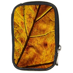 Leaf Leaf Veins Fall Compact Camera Leather Case by artworkshop