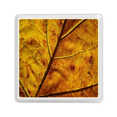 Leaf Leaf Veins Fall Memory Card Reader (square) by artworkshop