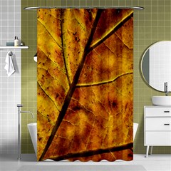 Leaf Leaf Veins Fall Shower Curtain 48  X 72  (small)  by artworkshop