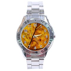 Leaf Leaf Veins Fall Stainless Steel Analogue Watch by artworkshop