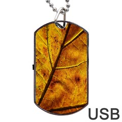 Leaf Leaf Veins Fall Dog Tag Usb Flash (two Sides)