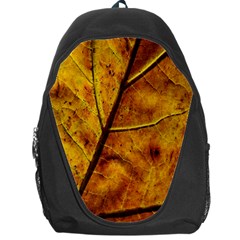 Leaf Leaf Veins Fall Backpack Bag by artworkshop