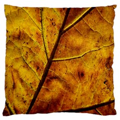 Leaf Leaf Veins Fall Large Cushion Case (one Side) by artworkshop