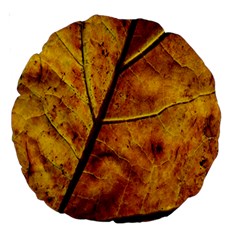 Leaf Leaf Veins Fall Large 18  Premium Round Cushions by artworkshop