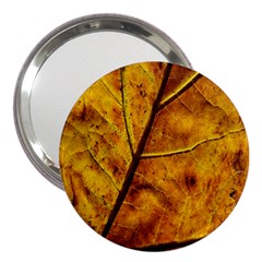 Leaf Leaf Veins Fall 3  Handbag Mirrors by artworkshop