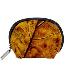 Leaf Leaf Veins Fall Accessory Pouch (small)