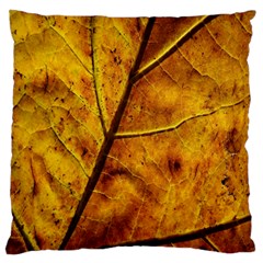 Leaf Leaf Veins Fall Standard Flano Cushion Case (two Sides) by artworkshop