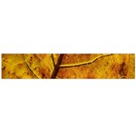 Leaf Leaf Veins Fall Large Flano Scarf  Front