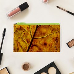 Leaf Leaf Veins Fall Cosmetic Bag (xs) by artworkshop