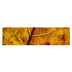 Leaf Leaf Veins Fall Oblong Satin Scarf (16  X 60 ) by artworkshop