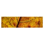 Leaf Leaf Veins Fall Oblong Satin Scarf (16  x 60 ) Front