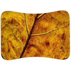 Leaf Leaf Veins Fall Velour Seat Head Rest Cushion by artworkshop