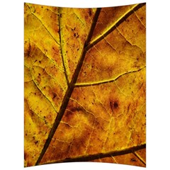 Leaf Leaf Veins Fall Back Support Cushion by artworkshop