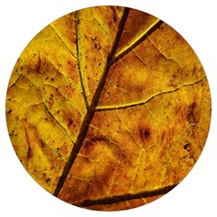 Leaf Leaf Veins Fall Round Trivet by artworkshop