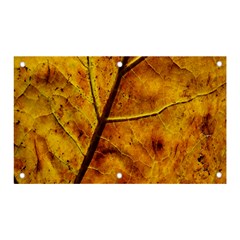 Leaf Leaf Veins Fall Banner And Sign 5  X 3  by artworkshop