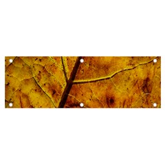 Leaf Leaf Veins Fall Banner And Sign 6  X 2 