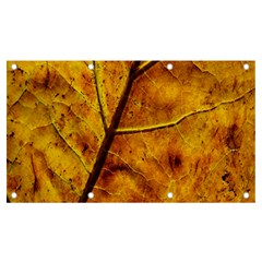 Leaf Leaf Veins Fall Banner And Sign 7  X 4 