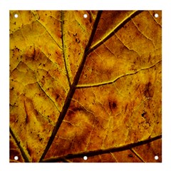 Leaf Leaf Veins Fall Banner And Sign 4  X 4 